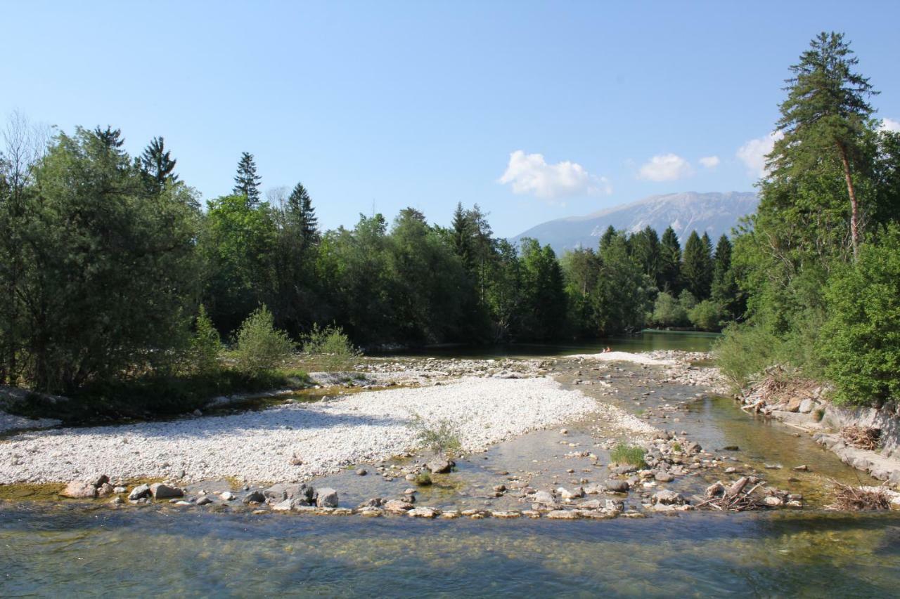 Alpes Apartment Radovljica